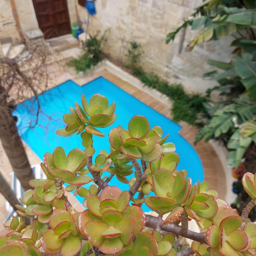 Haven Farmhouse B&B Gharb  Ngoại thất bức ảnh
